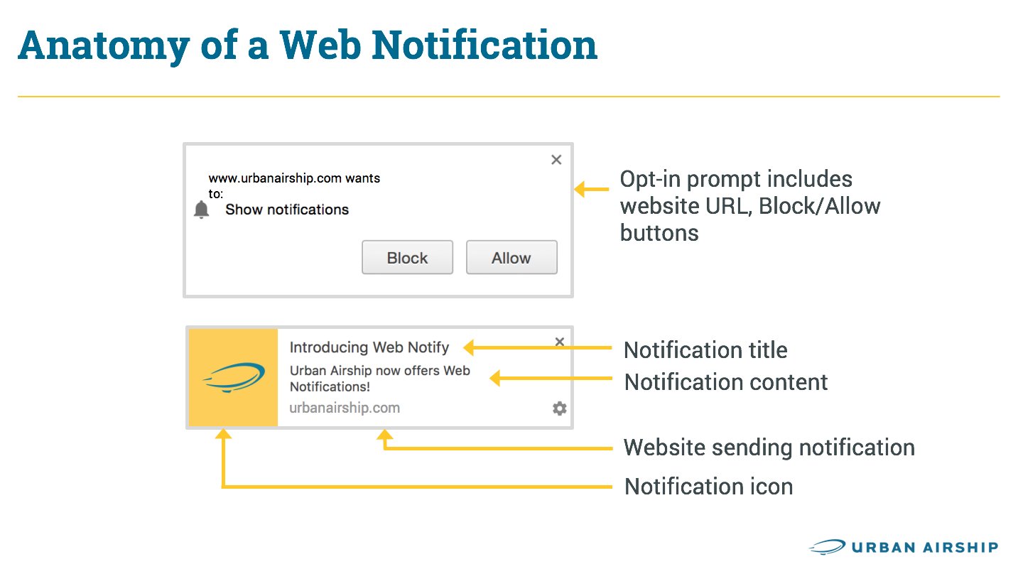 web-notification-anatomy-infographic